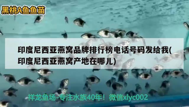 印度尼西亞燕窩品牌排行榜電話號碼發(fā)給我(印度尼西亞燕窩產(chǎn)地在哪兒) 馬來西亞燕窩