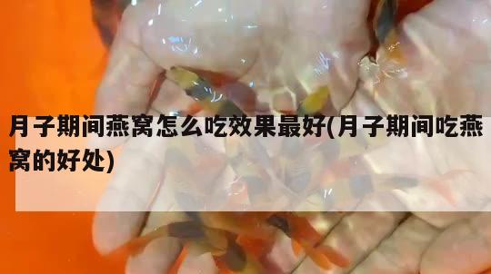 月子期間燕窩怎么吃效果最好(月子期間吃燕窩的好處) 馬來西亞燕窩