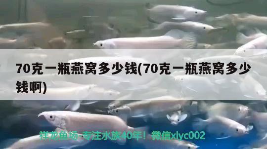 70克一瓶燕窩多少錢(70克一瓶燕窩多少錢啊)