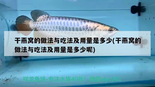 干燕窩的做法與吃法及用量是多少(干燕窩的做法與吃法及用量是多少呢) 馬來西亞燕窩