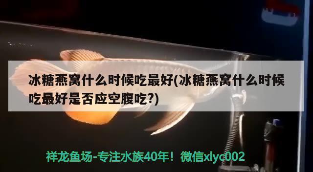 冰糖燕窩什么時候吃最好(冰糖燕窩什么時候吃最好是否應(yīng)空腹吃?) 馬來西亞燕窩