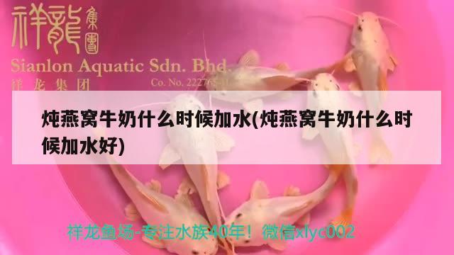 燉燕窩牛奶什么時(shí)候加水(燉燕窩牛奶什么時(shí)候加水好) 馬來(lái)西亞燕窩