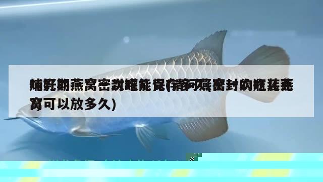 燉好的燕窩密封罐能保存多久(密封的瓶裝燕窩可以放多久) 馬來西亞燕窩