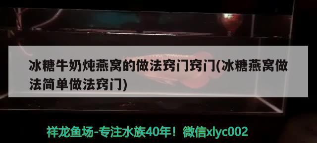 冰糖牛奶燉燕窩的做法竅門竅門(冰糖燕窩做法簡單做法竅門)