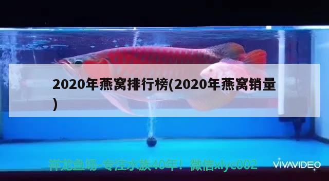 2020年燕窩排行榜(2020年燕窩銷量)