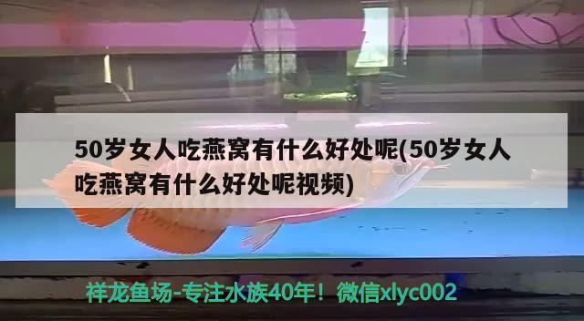 50歲女人吃燕窩有什么好處呢(50歲女人吃燕窩有什么好處呢視頻) 馬來西亞燕窩