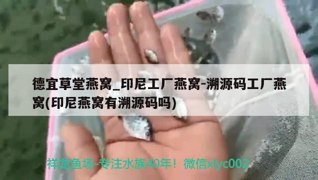 德宜草堂燕窩_印尼工廠燕窩-溯源碼工廠燕窩(印尼燕窩有溯源碼嗎) 馬來(lái)西亞燕窩