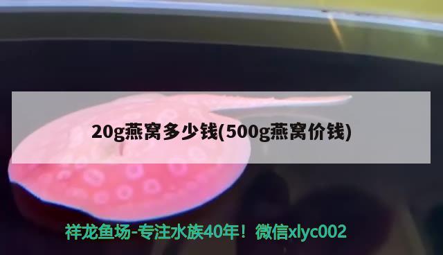 20g燕窩多少錢(qián)(500g燕窩價(jià)錢(qián))