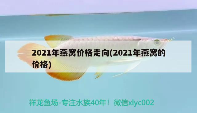 2021年燕窩價格走向(2021年燕窩的價格)