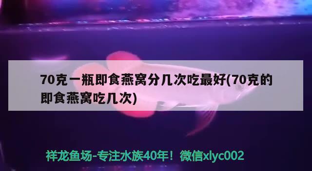 70克一瓶即食燕窩分幾次吃最好(70克的即食燕窩吃幾次) 馬來(lái)西亞燕窩