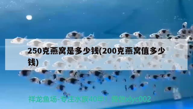 250克燕窩是多少錢(200克燕窩值多少錢)