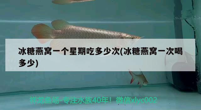 冰糖燕窩一個(gè)星期吃多少次(冰糖燕窩一次喝多少) 馬來西亞燕窩