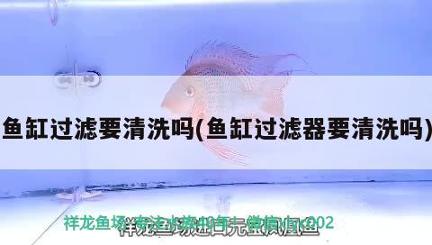 魚缸過濾要清洗嗎(魚缸過濾器要清洗嗎) 藍(lán)底過背金龍魚