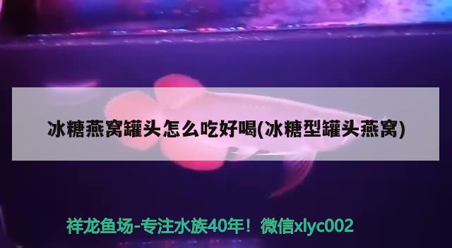 冰糖燕窩罐頭怎么吃好喝(冰糖型罐頭燕窩) 馬來西亞燕窩