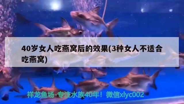 40歲女人吃燕窩后的效果(3種女人不適合吃燕窩)