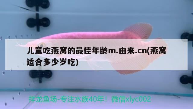 兒童吃燕窩的最佳年齡m.由來.cn(燕窩適合多少歲吃)