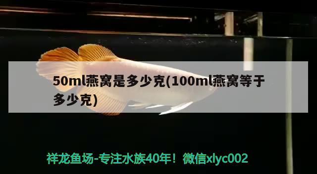 50ml燕窩是多少克(100ml燕窩等于多少克)