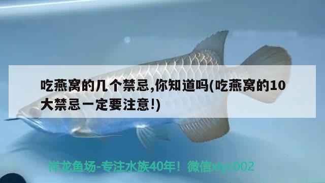 吃燕窩的幾個(gè)禁忌,你知道嗎(吃燕窩的10大禁忌一定要注意!) 馬來(lái)西亞燕窩