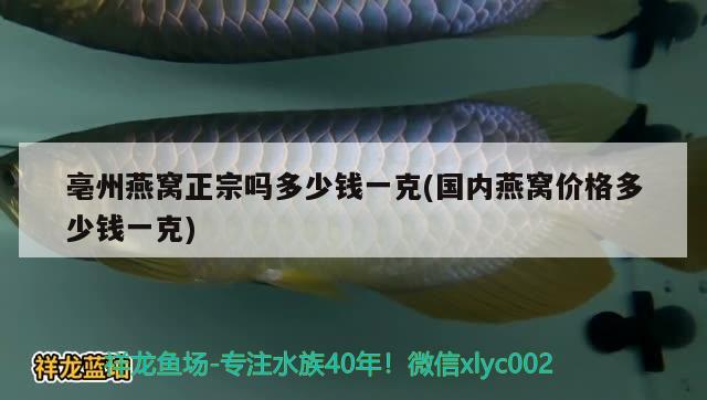 亳州燕窩正宗嗎多少錢一克(國(guó)內(nèi)燕窩價(jià)格多少錢一克)