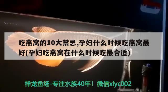 吃燕窩的10大禁忌,孕婦什么時候吃燕窩最好(孕婦吃燕窩在什么時候吃最合適) 馬來西亞燕窩