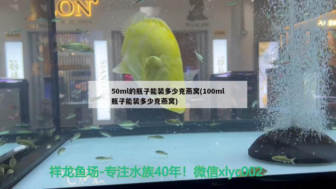 50ml的瓶子能裝多少克燕窩(100ml瓶子能裝多少克燕窩)