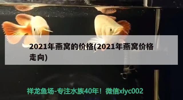 2021年燕窩的價(jià)格(2021年燕窩價(jià)格走向) 馬來西亞燕窩