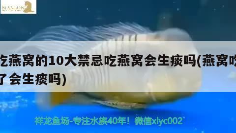 吃燕窩的10大禁忌吃燕窩會生痰嗎(燕窩吃了會生痰嗎) 馬來西亞燕窩