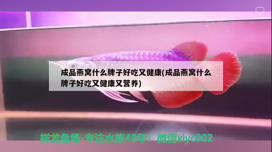 成品燕窩什么牌子好吃又健康(成品燕窩什么牌子好吃又健康又營(yíng)養(yǎng)) 馬來(lái)西亞燕窩