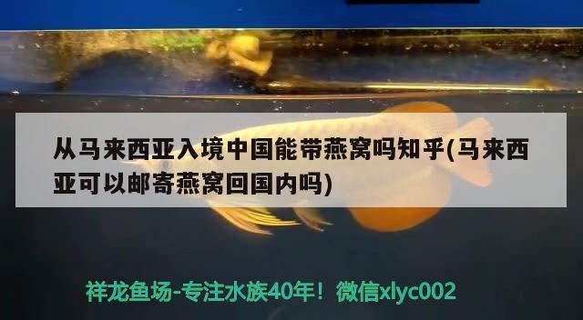 從馬來西亞入境中國能帶燕窩嗎知乎(馬來西亞可以郵寄燕窩回國內(nèi)嗎)