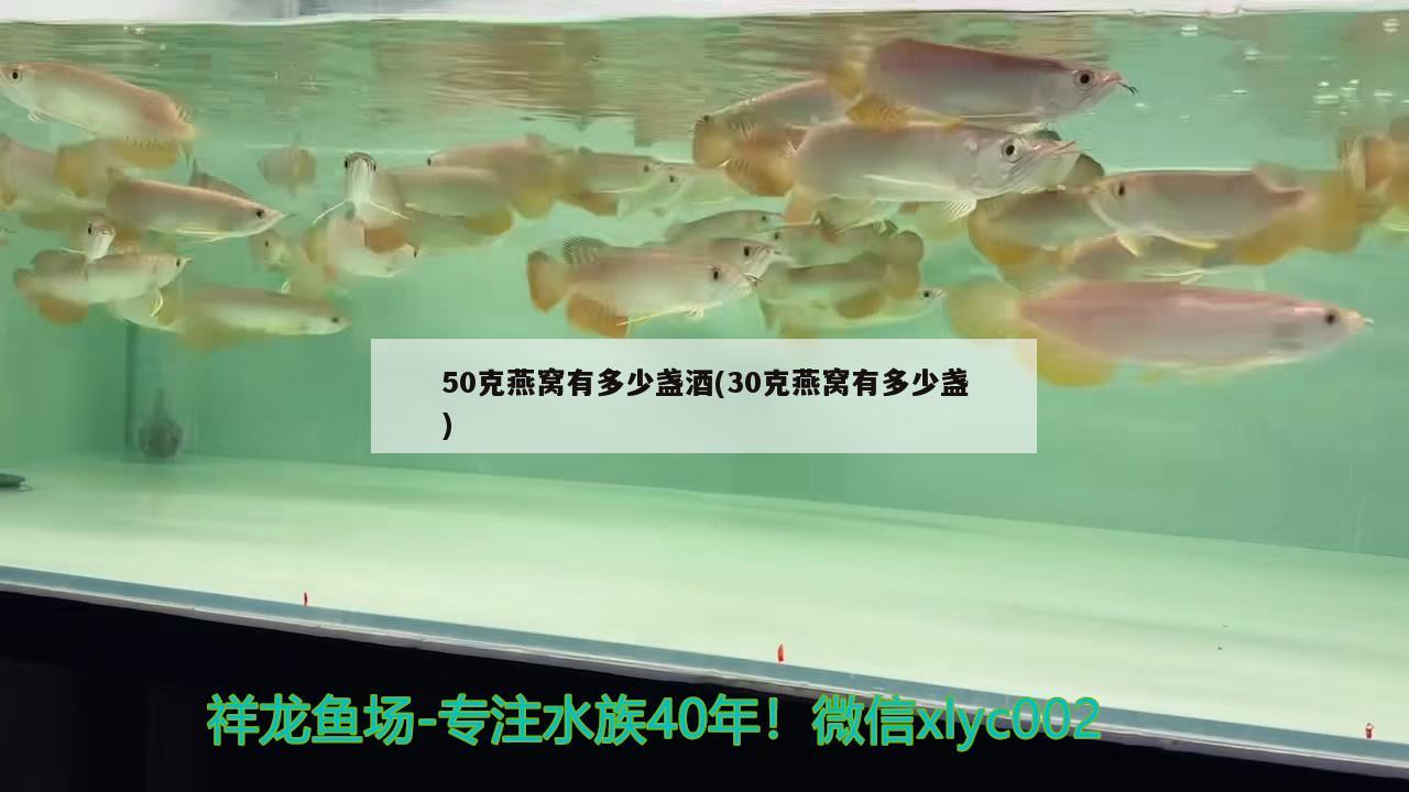 50克燕窩有多少盞酒(30克燕窩有多少盞)