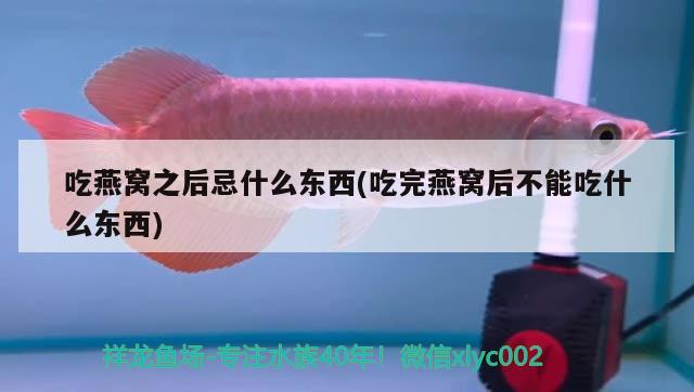 吃燕窩之后忌什么東西(吃完燕窩后不能吃什么東西)