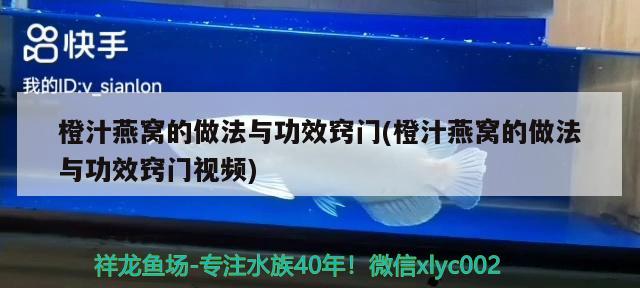 橙汁燕窩的做法與功效竅門(mén)(橙汁燕窩的做法與功效竅門(mén)視頻)