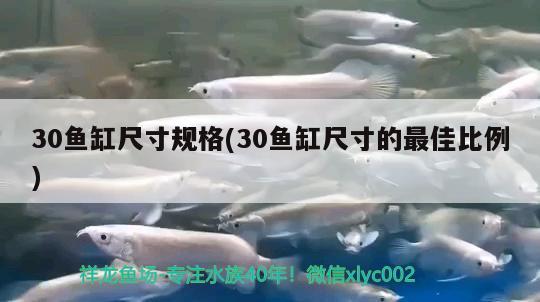 30魚缸尺寸規(guī)格(30魚缸尺寸的最佳比例)