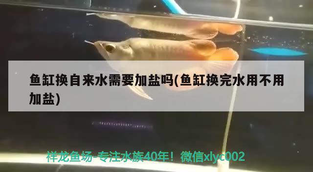 魚缸換自來水需要加鹽嗎(魚缸換完水用不用加鹽) 水族雜談