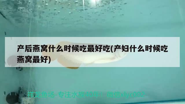 產后燕窩什么時候吃最好吃(產婦什么時候吃燕窩最好) 馬來西亞燕窩