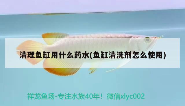 清理魚缸用什么藥水(魚缸清洗劑怎么使用) 養(yǎng)魚知識