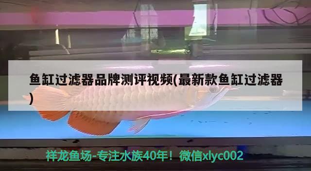 魚缸過濾器品牌測(cè)評(píng)視頻(最新款魚缸過濾器)