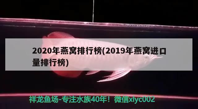 2020年燕窩排行榜(2019年燕窩進口量排行榜) 馬來西亞燕窩