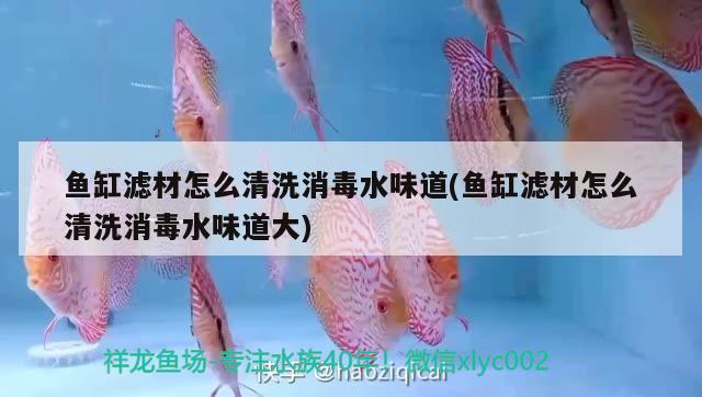 魚缸濾材怎么清洗消毒水味道(魚缸濾材怎么清洗消毒水味道大) 魚缸等水族設(shè)備