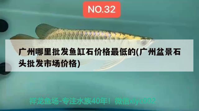 廣州哪里批發(fā)魚缸石價(jià)格最低的(廣州盆景石頭批發(fā)市場(chǎng)價(jià)格) 觀賞魚水族批發(fā)市場(chǎng)