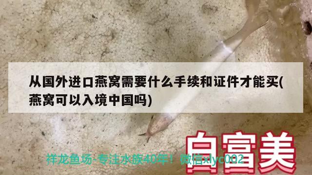 從國外進(jìn)口燕窩需要什么手續(xù)和證件才能買(燕窩可以入境中國嗎)