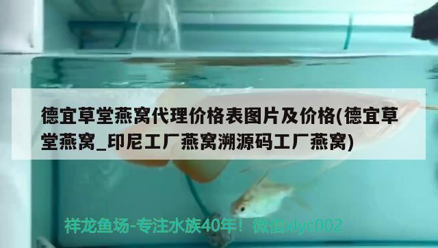 德宜草堂燕窩代理價格表圖片及價格(德宜草堂燕窩_印尼工廠燕窩溯源碼工廠燕窩)