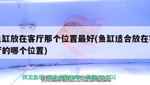 魚(yú)缸放在客廳那個(gè)位置最好(魚(yú)缸適合放在客廳的哪個(gè)位置)