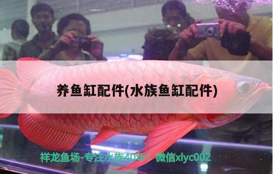 養(yǎng)魚(yú)缸配件(水族魚(yú)缸配件)