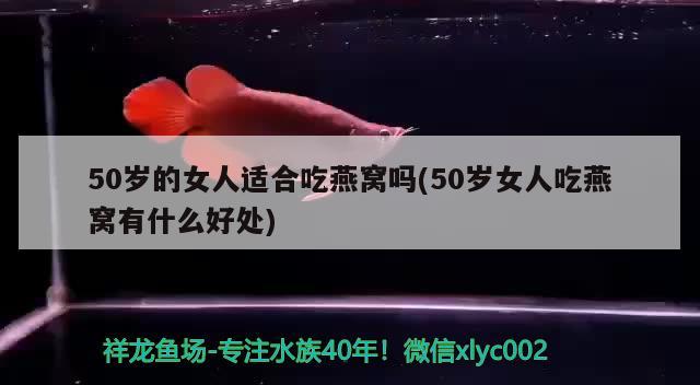 50歲的女人適合吃燕窩嗎(50歲女人吃燕窩有什么好處)