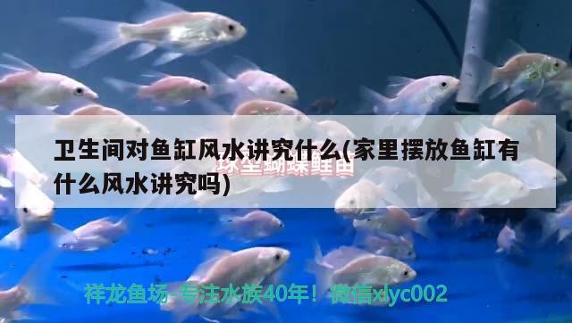 衛(wèi)生間對魚缸風水講究什么(家里擺放魚缸有什么風水講究嗎) 魚缸風水