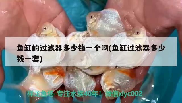 魚缸的過濾器多少錢一個啊(魚缸過濾器多少錢一套)