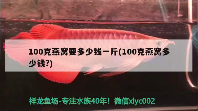 100克燕窩要多少錢一斤(100克燕窩多少錢?) 馬來西亞燕窩