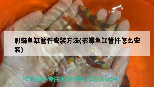 彩蝶魚缸管件安裝方法(彩蝶魚缸管件怎么安裝)