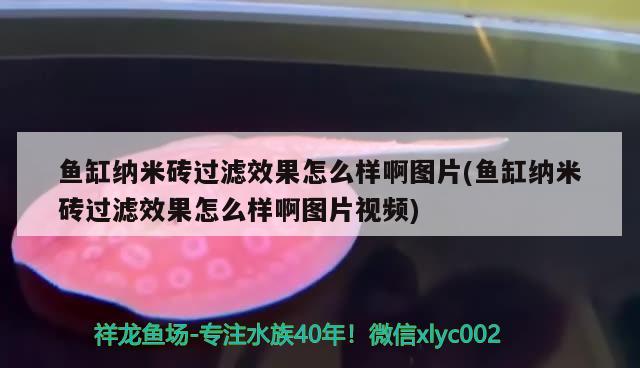 魚缸納米磚過濾效果怎么樣啊圖片(魚缸納米磚過濾效果怎么樣啊圖片視頻) 野彩魚